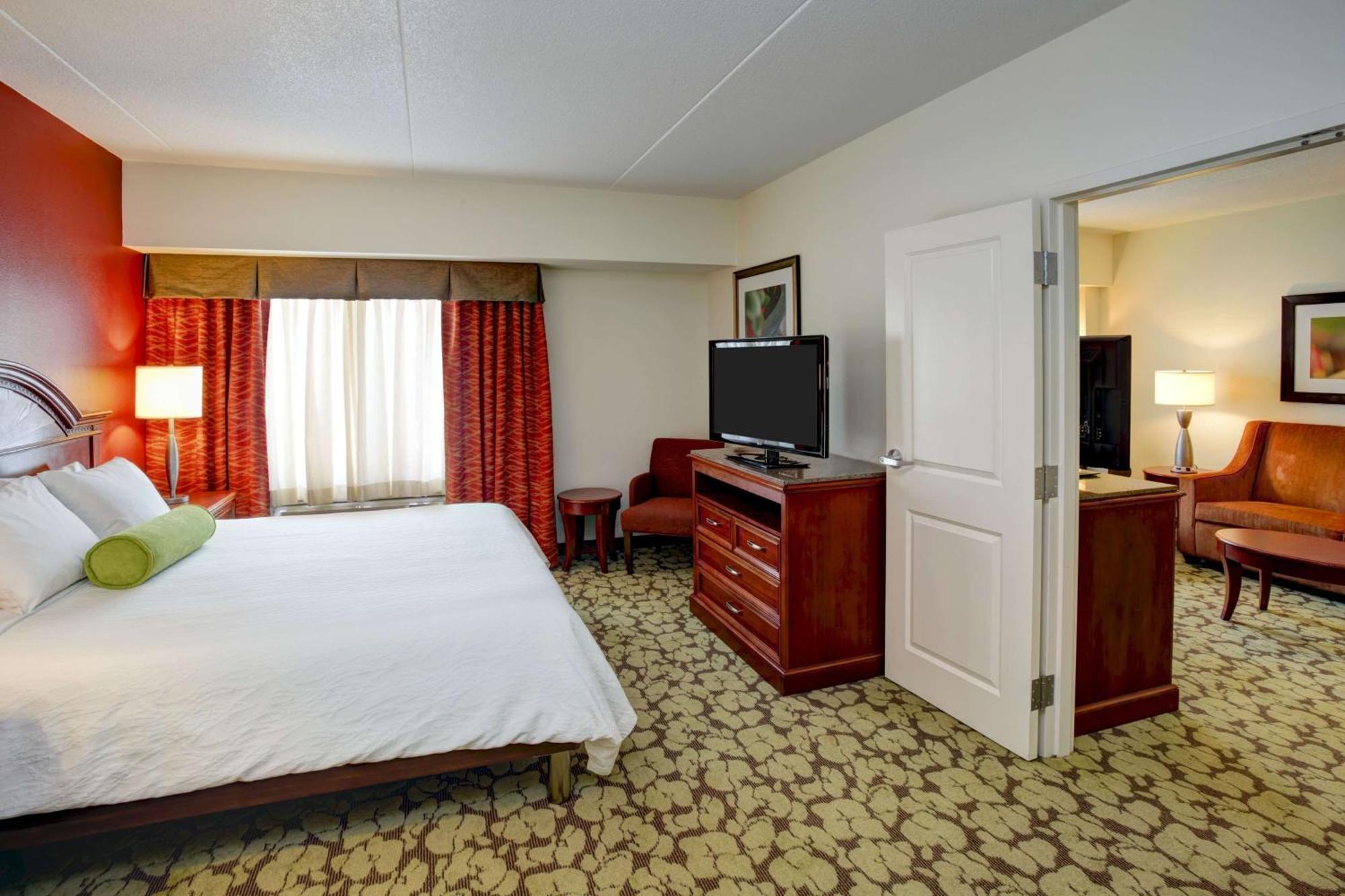 One-Bedroom King Suite with Sofa Bed