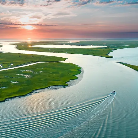 Virginia